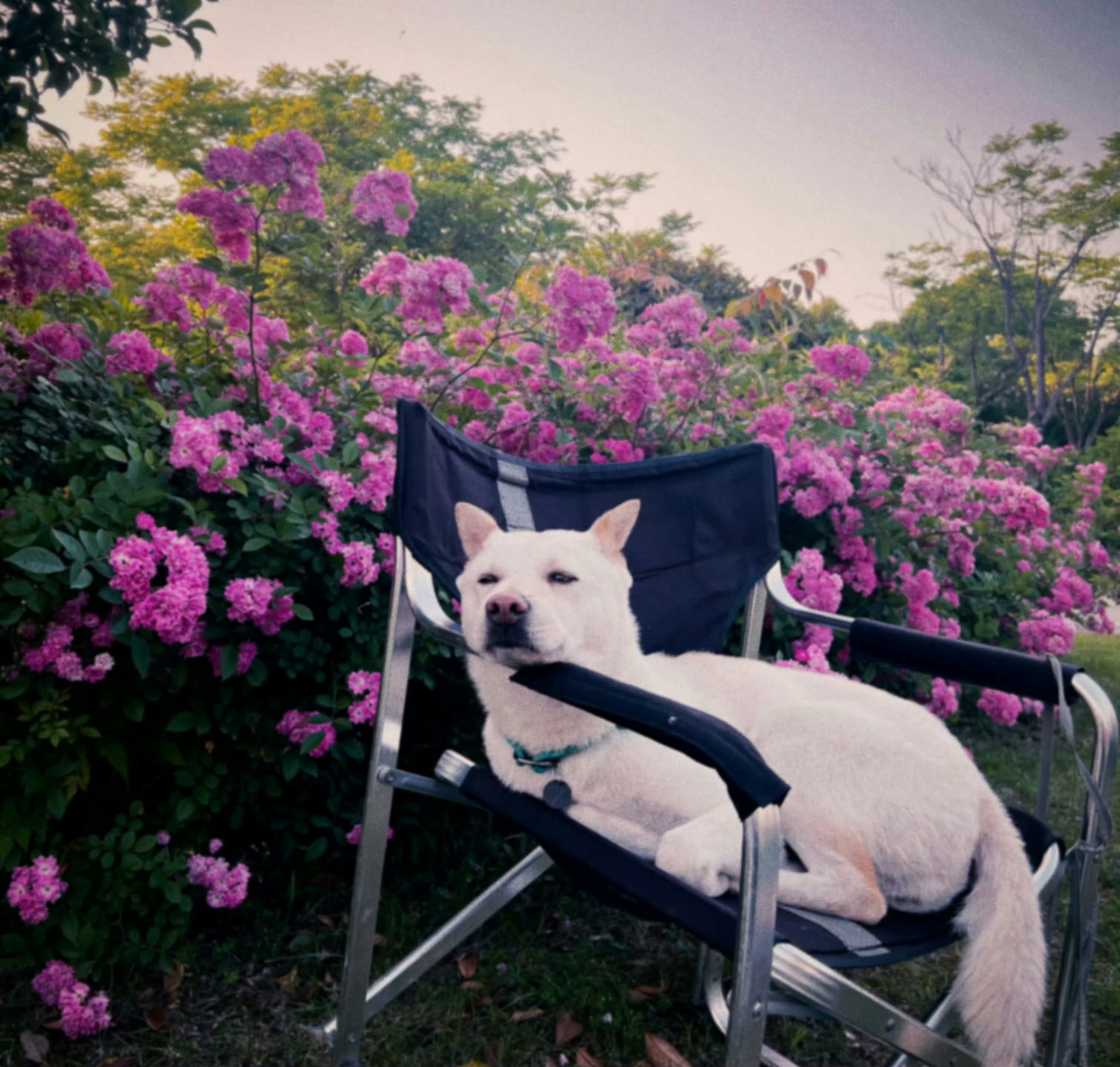 北北姑姑和doe的小时候和现在🥹🤲🏻 
