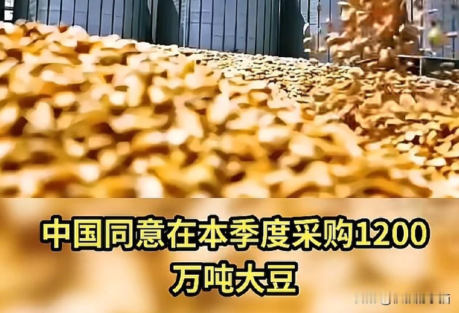 美国的豆农终于松了口气，这声“松气”背后，藏着太多行业的焦灼与期待。从艾奥瓦州往