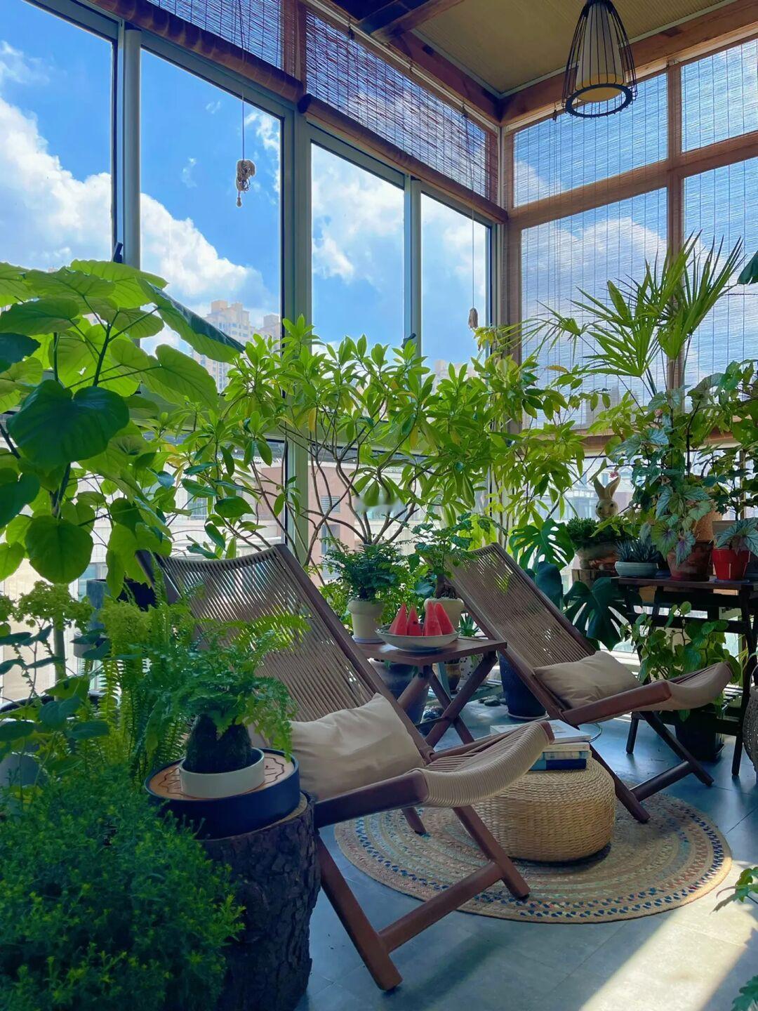 9m²绿植角｜躺在阳台“小森林”里度假！⛱️