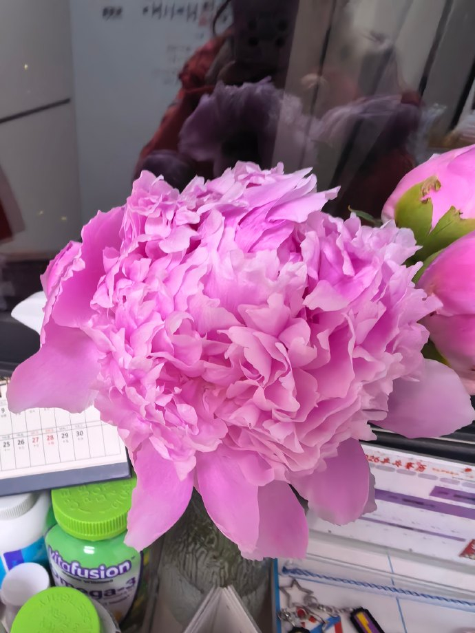 花开了，天亮了，我们进决赛了 