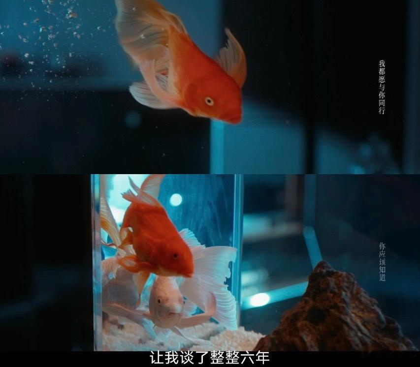 早春晴朗1分钟亲了13次 点开之前还觉得一分钟十三次是不是太夸张，看完才发现根本