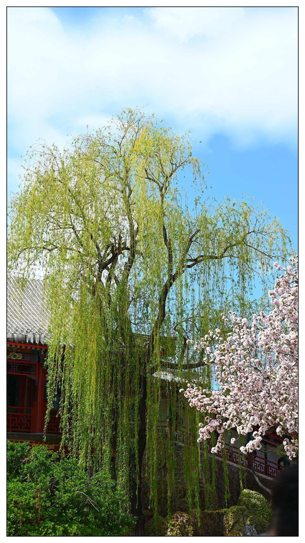 春之景