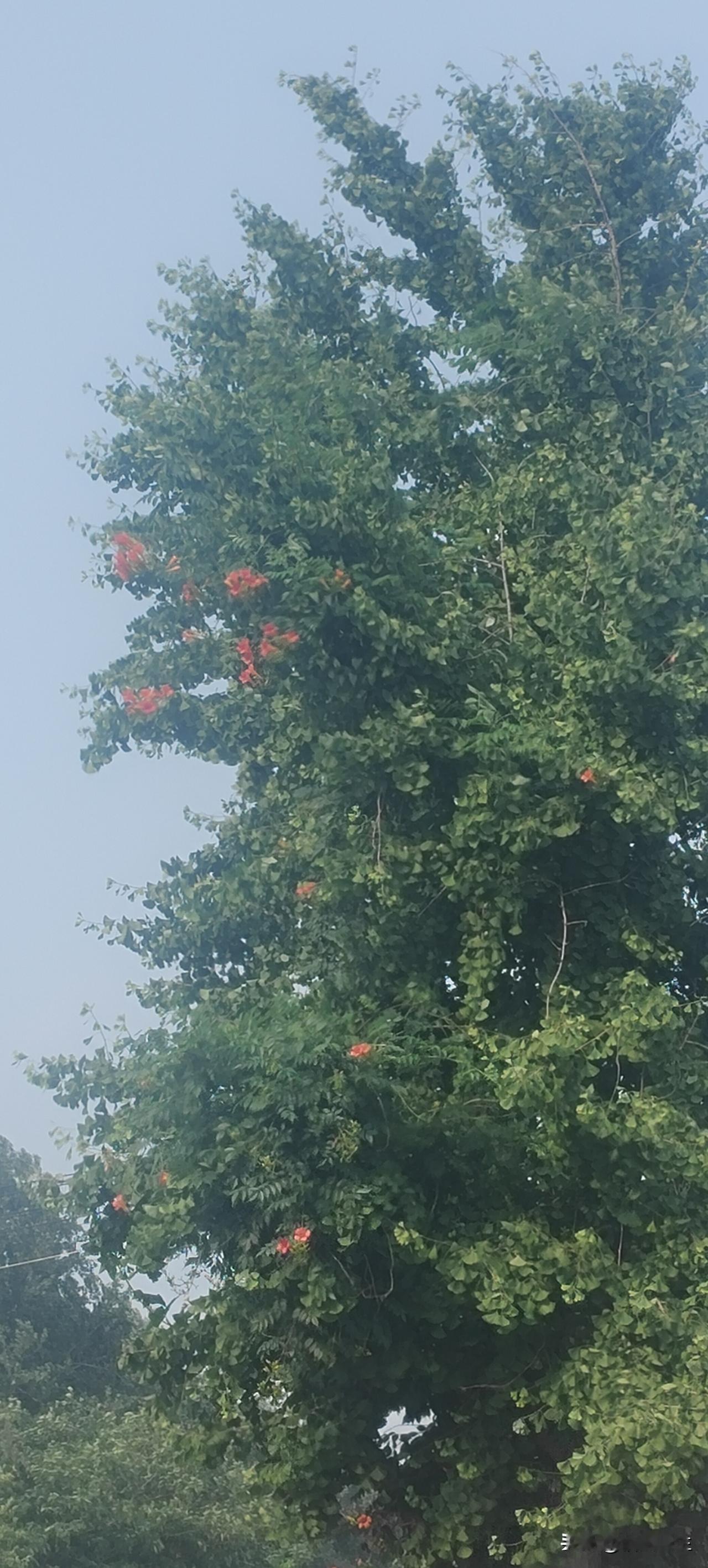 老公说我：你怎么这么亵
我去，你可以说我别的，说我亵，不行
我问他我怎么亵了，他