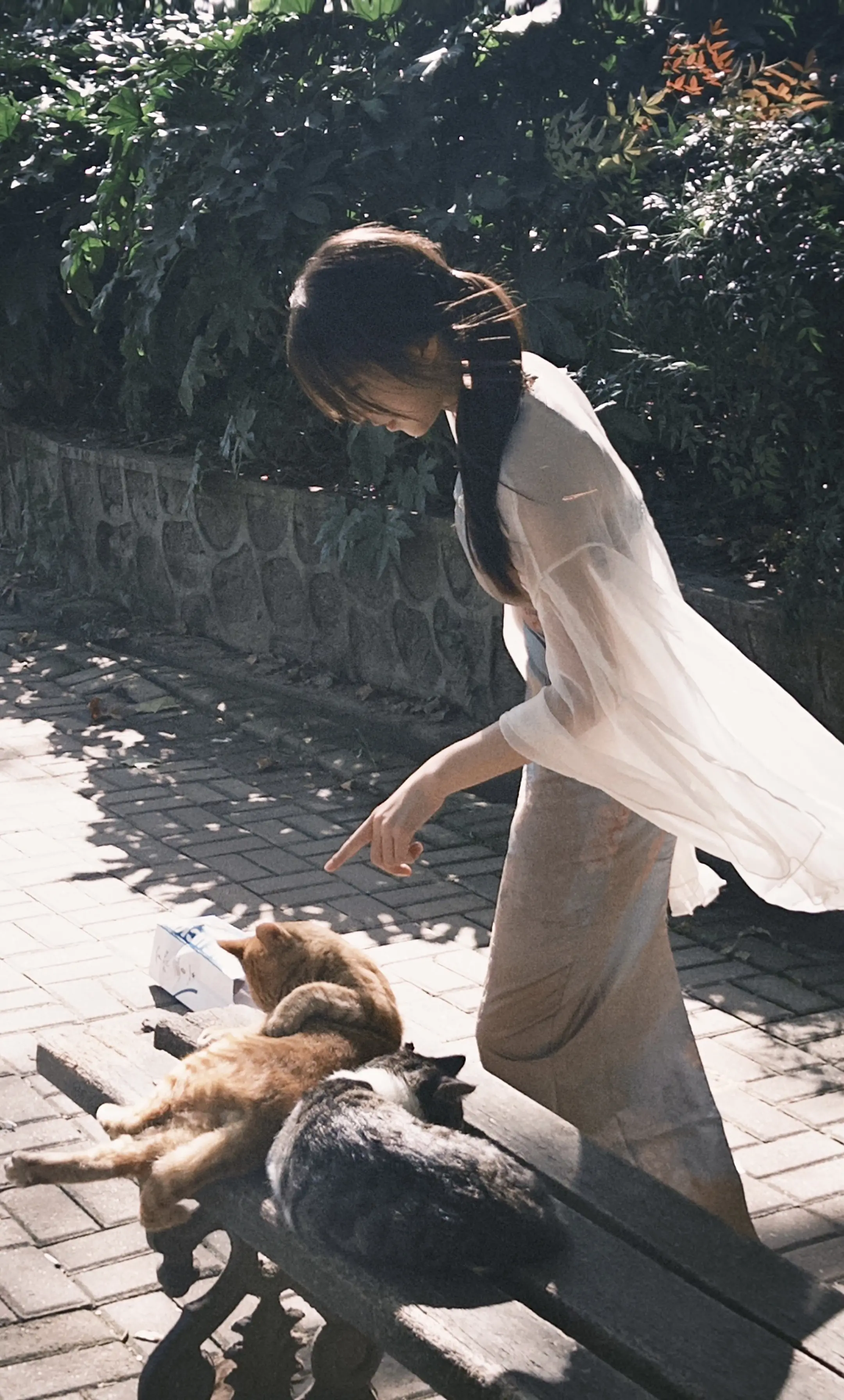 一晃又一秋 有人再见 有人再也不见