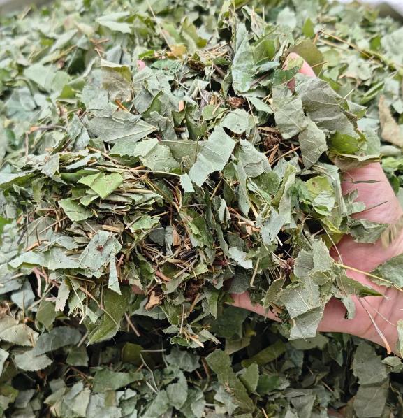 中医：凡是阳痿早泄的人，都可以用这 9 个中成药，对症才治本

大家好，我是陈玉