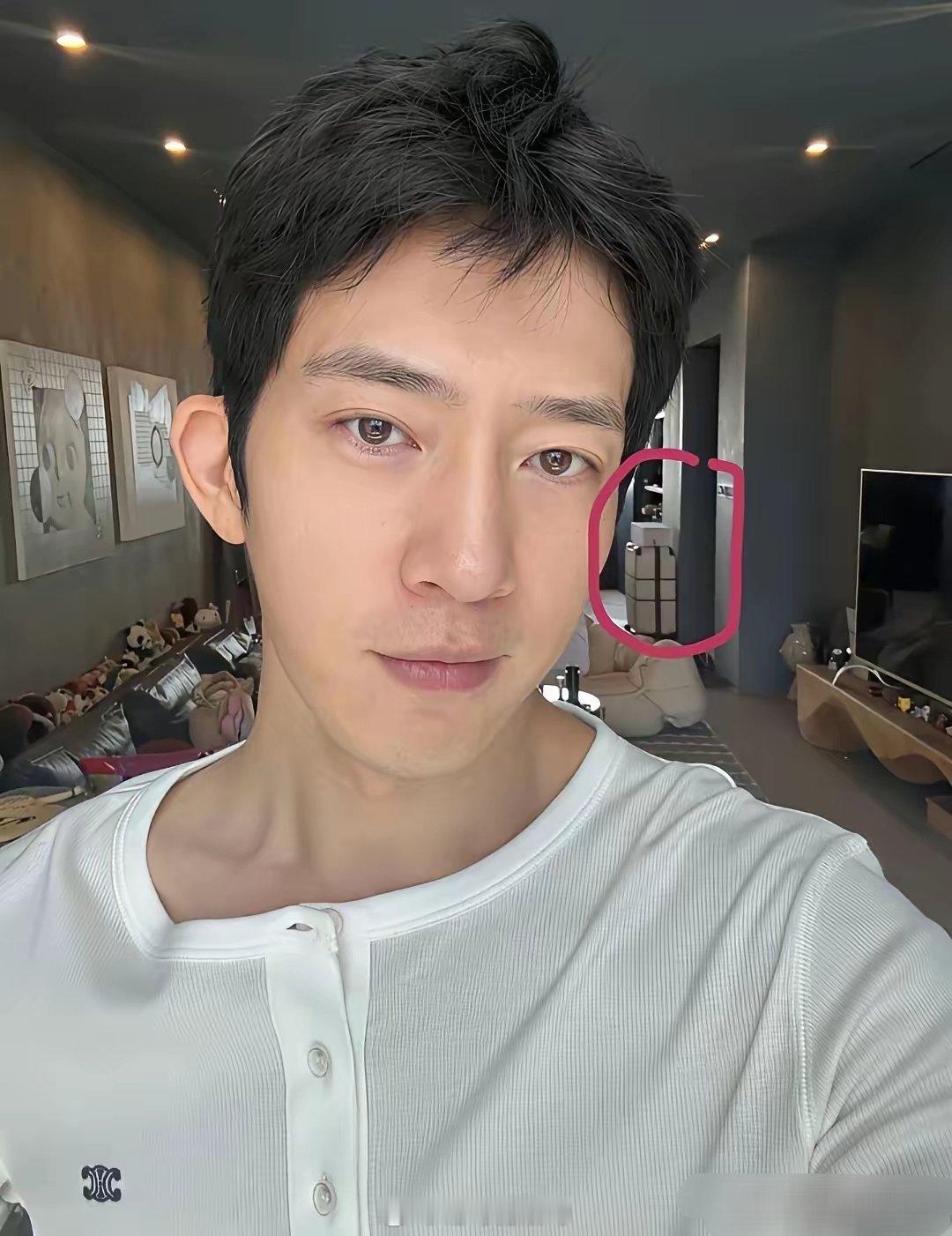 网友的眼睛就是尺，洞察力太牛了。刘雯的行李箱出现在了井柏然的复式大豪宅，两人低调