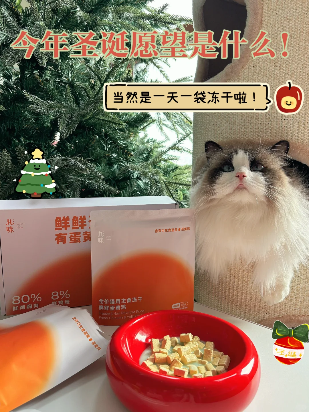 𝓒𝓱𝓻𝓲𝓼𝓽𝓶𝓪𝓼˚♬🎄|小猫咪的圣诞餐⁾⁾