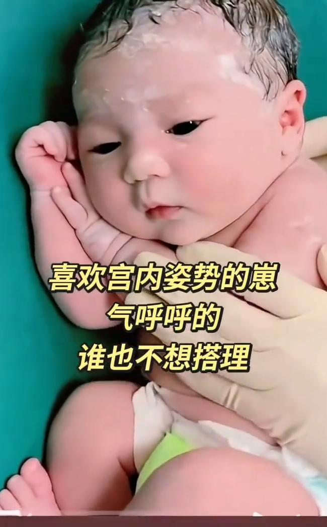 喜欢宫内姿势的崽，气呼呼的，谁也不想搭理。