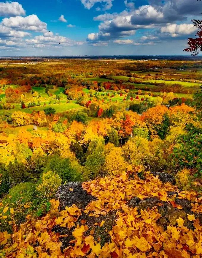 🇨🇦多伦多一年去两次的地方太chill了
我今天刚从Mount Nemo C