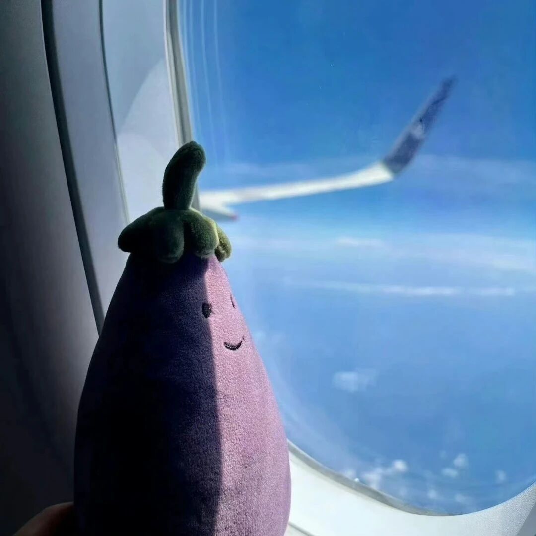 jellycat  ❤️⸝ 𝙤𝙤𝙤𝙤𝙤𝙔𝙚 .ᐟ.ᐟ 别为了迁就旁