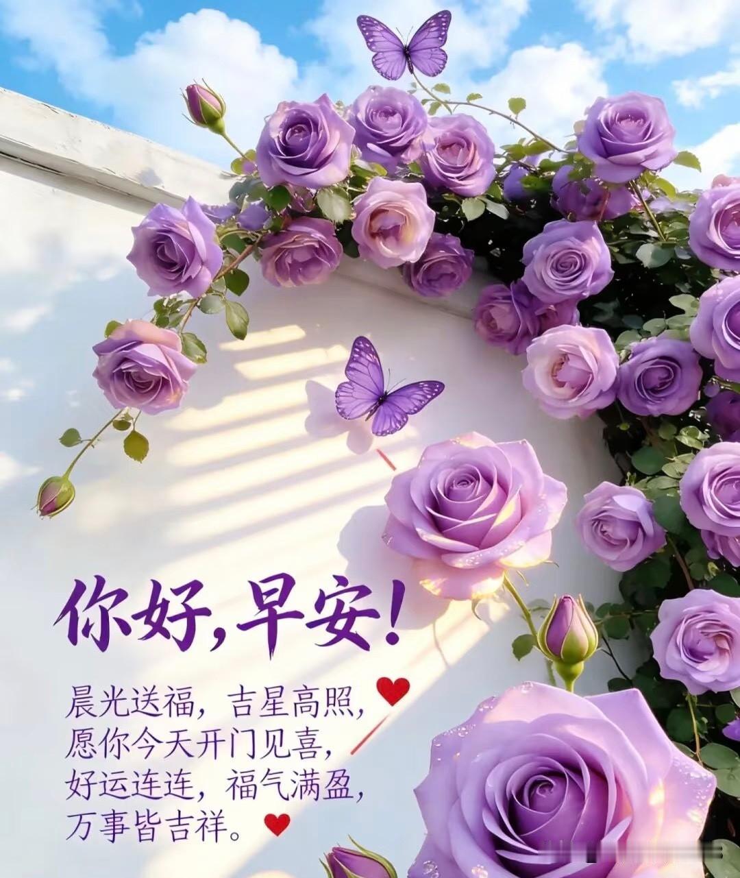 ²⁰²⁶/₀₅.₁₇ 周日｜一键复制发⭕，今天请发一条不一样的朋友圈吧🌷✨
①