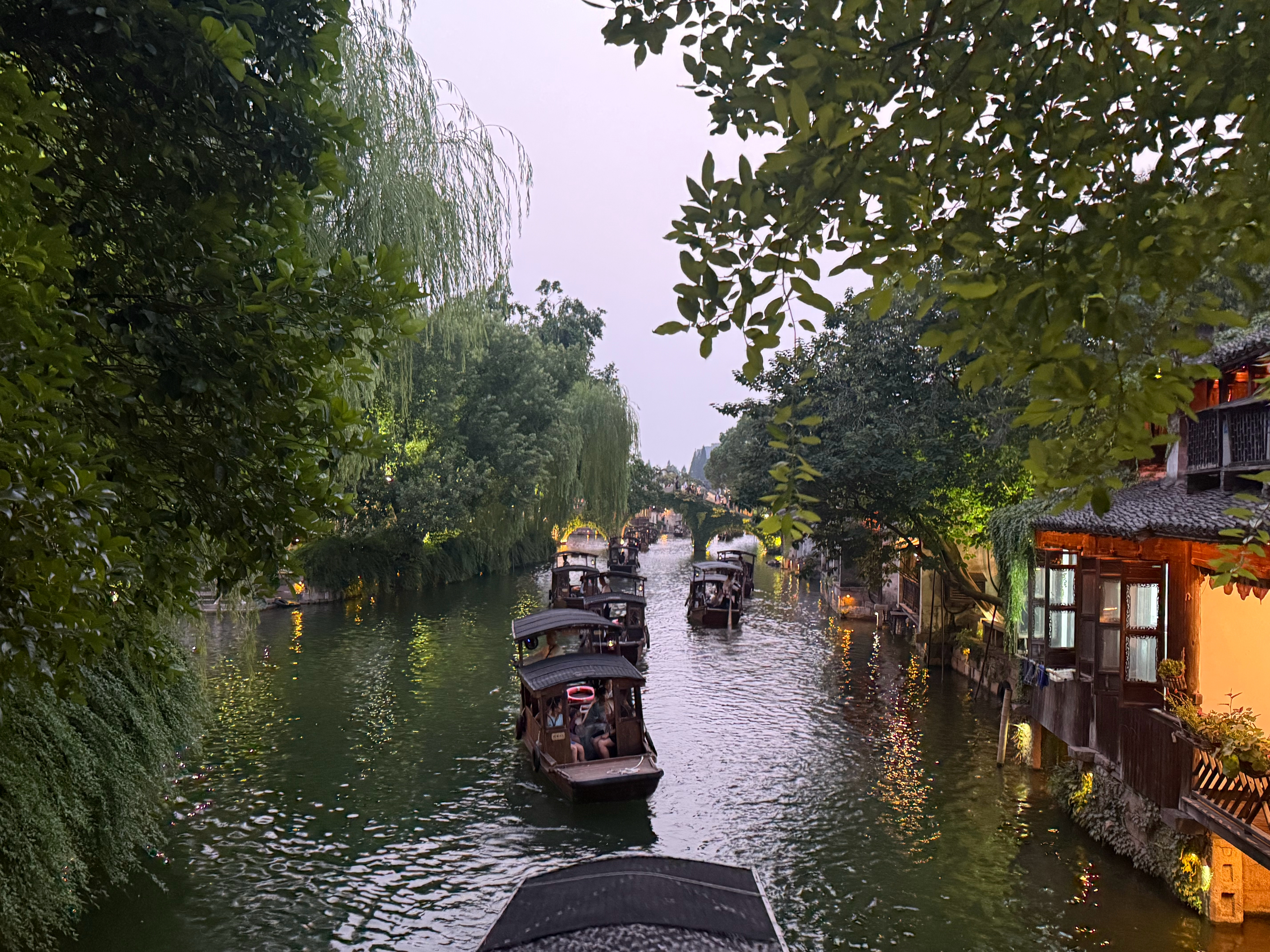 来自乌镇雅雅学语负暑进行时