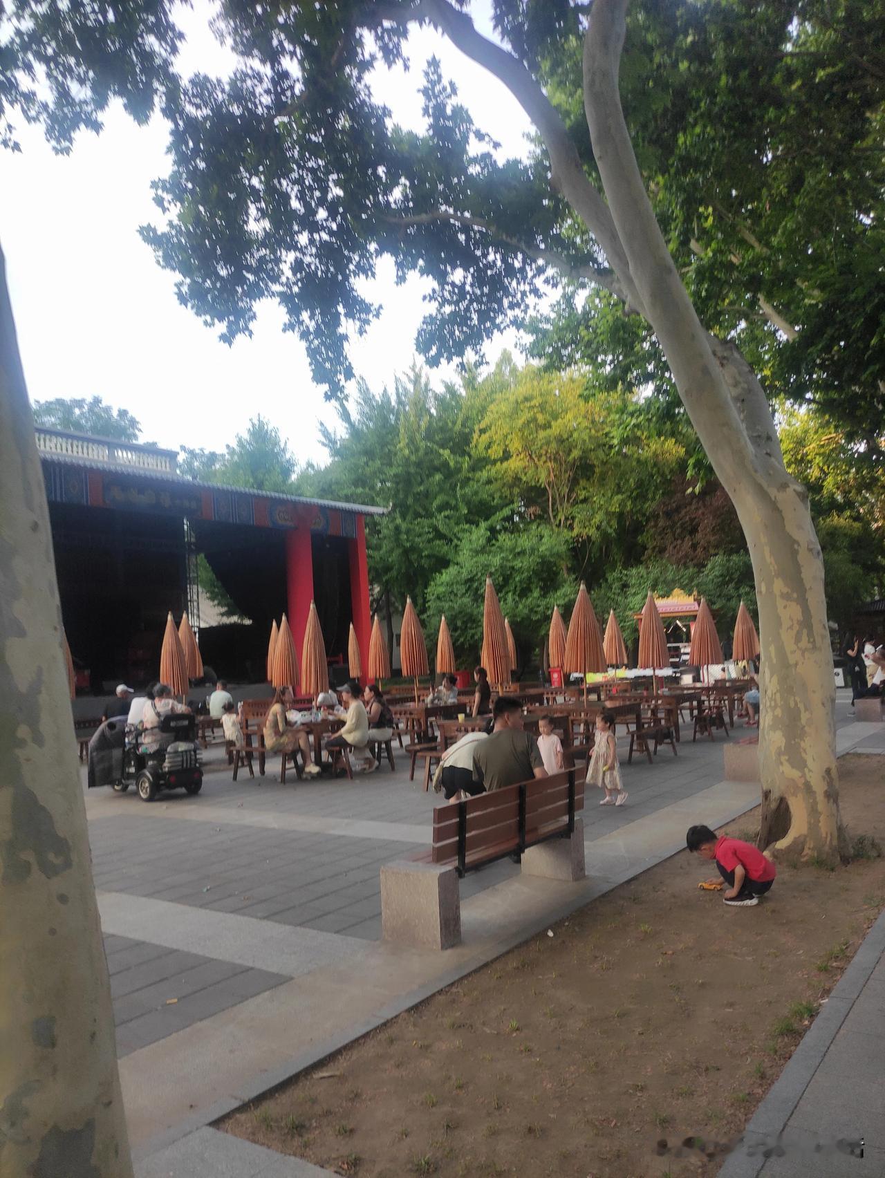 悠闲午后，公园里的小聚，树荫下的欢笑户外散步时光 公园初夏光景