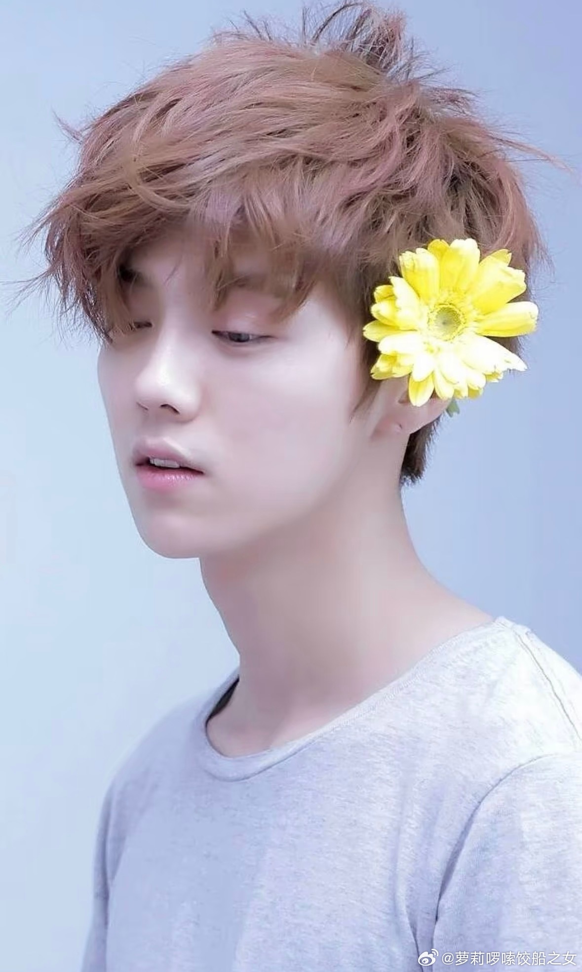 2015年的鹿晗是真的花儿与少年其实真的是逃过一劫了，因为恐高，不过2015年鹿