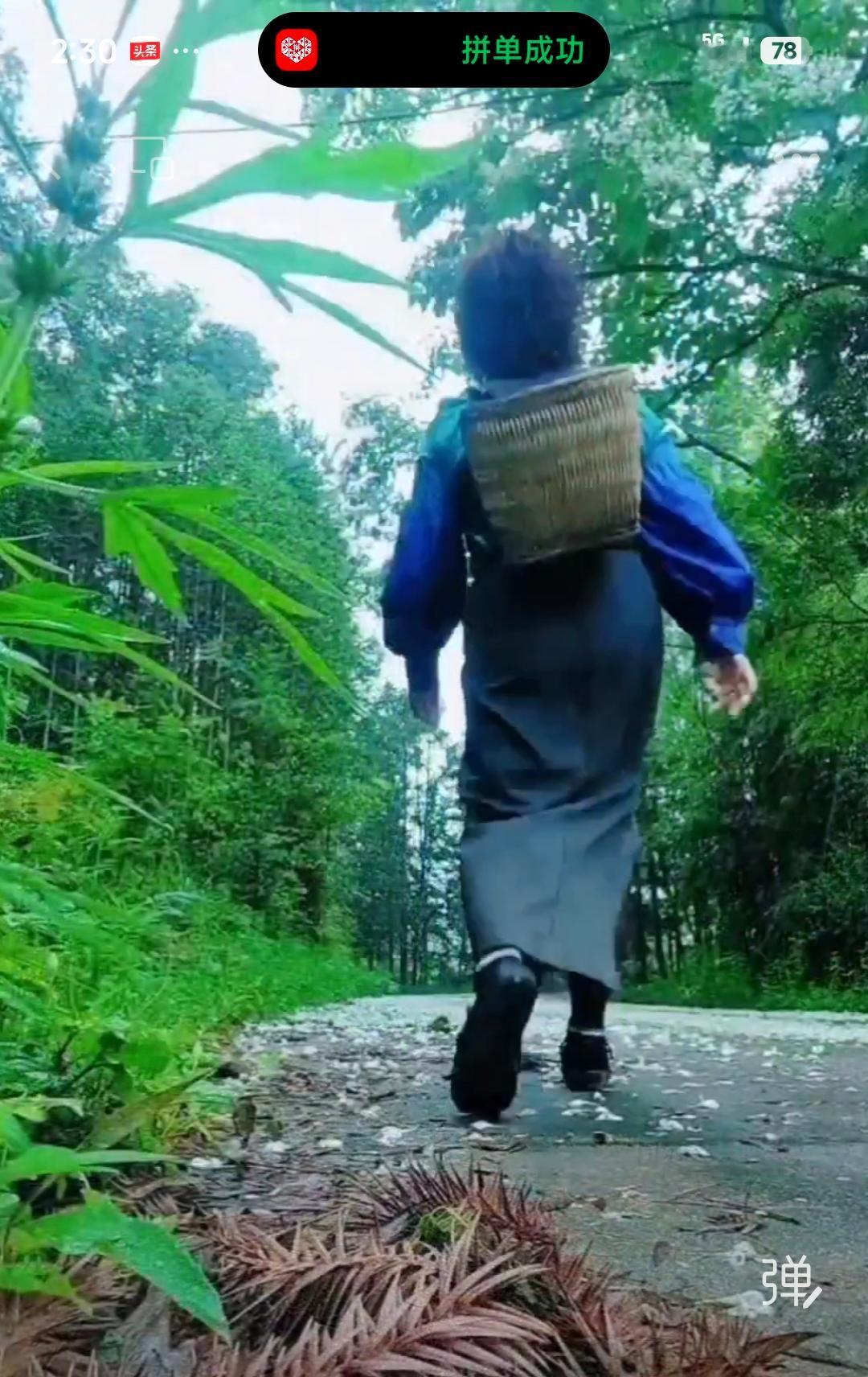  背篓里装的不是野菜，是我藏在山里的，一整个春天。