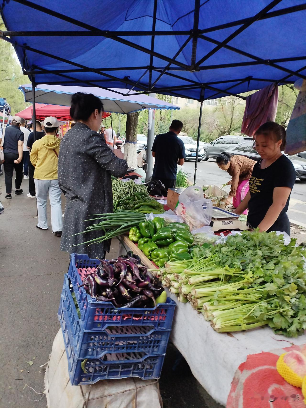 早市一撇
青蔬鲜嫩列两旁，
水果香甜任品尝。
人心自有公平秤，
请续句……
（软