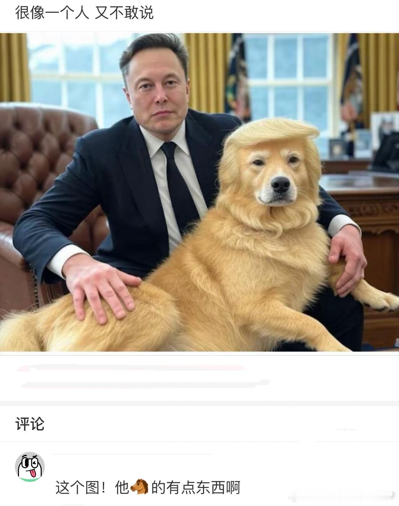 很像一个人[doge] 