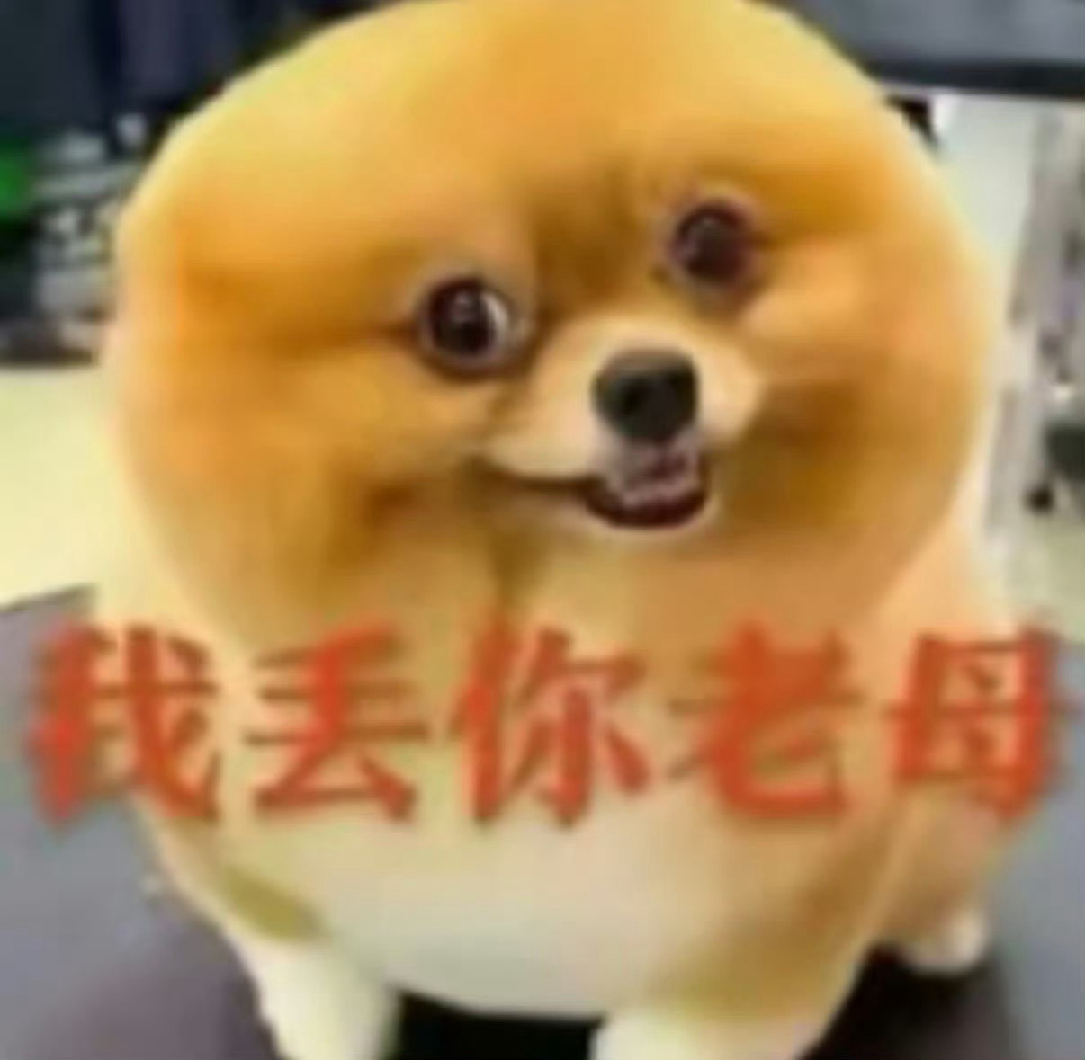一边和朋友一起厌恶着我，一边又要假装什么都没发生，和我继续保持着表面关系，死墩子