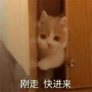 光与夜之恋萧逸  两个人老夫老妻，反而每天都在热恋，经常有种刚恋爱时候的“偷感”