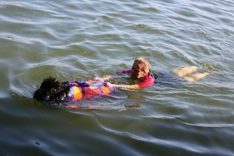 河北大哥跳水救人，裤头被水冲掉，光着身子把人救上岸。

获救女子睁眼一看，抬手就