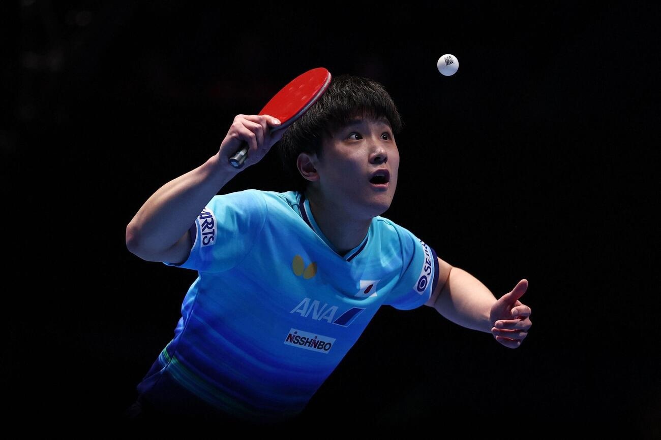 张本智和张本智和2026年伦敦世乒赛 男团QF图集📷cr. 日刊スポーツ 