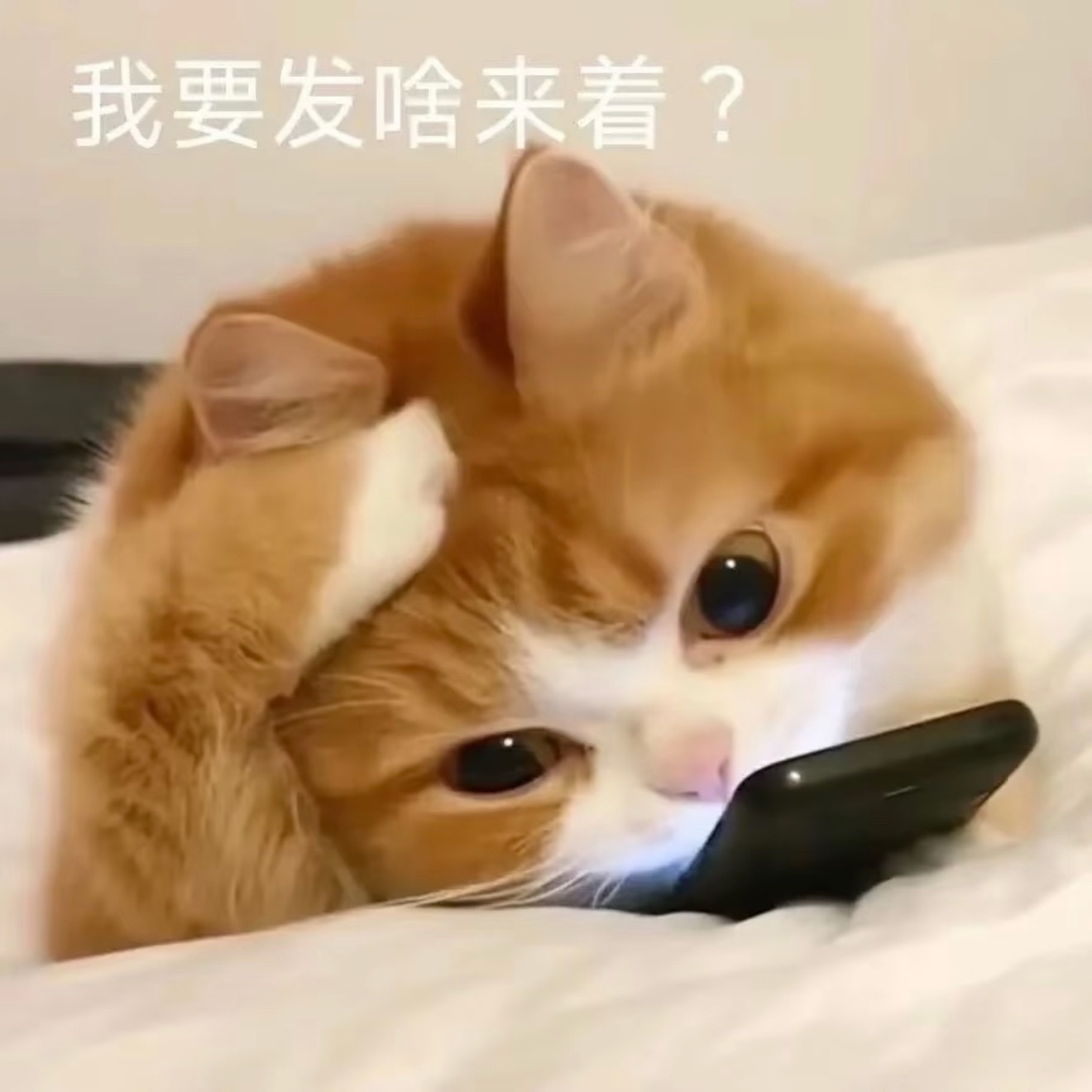 不发朋友圈的人是什么性格，别天天研究人家发不发朋友圈了，人家发不发朋友圈跟你也没