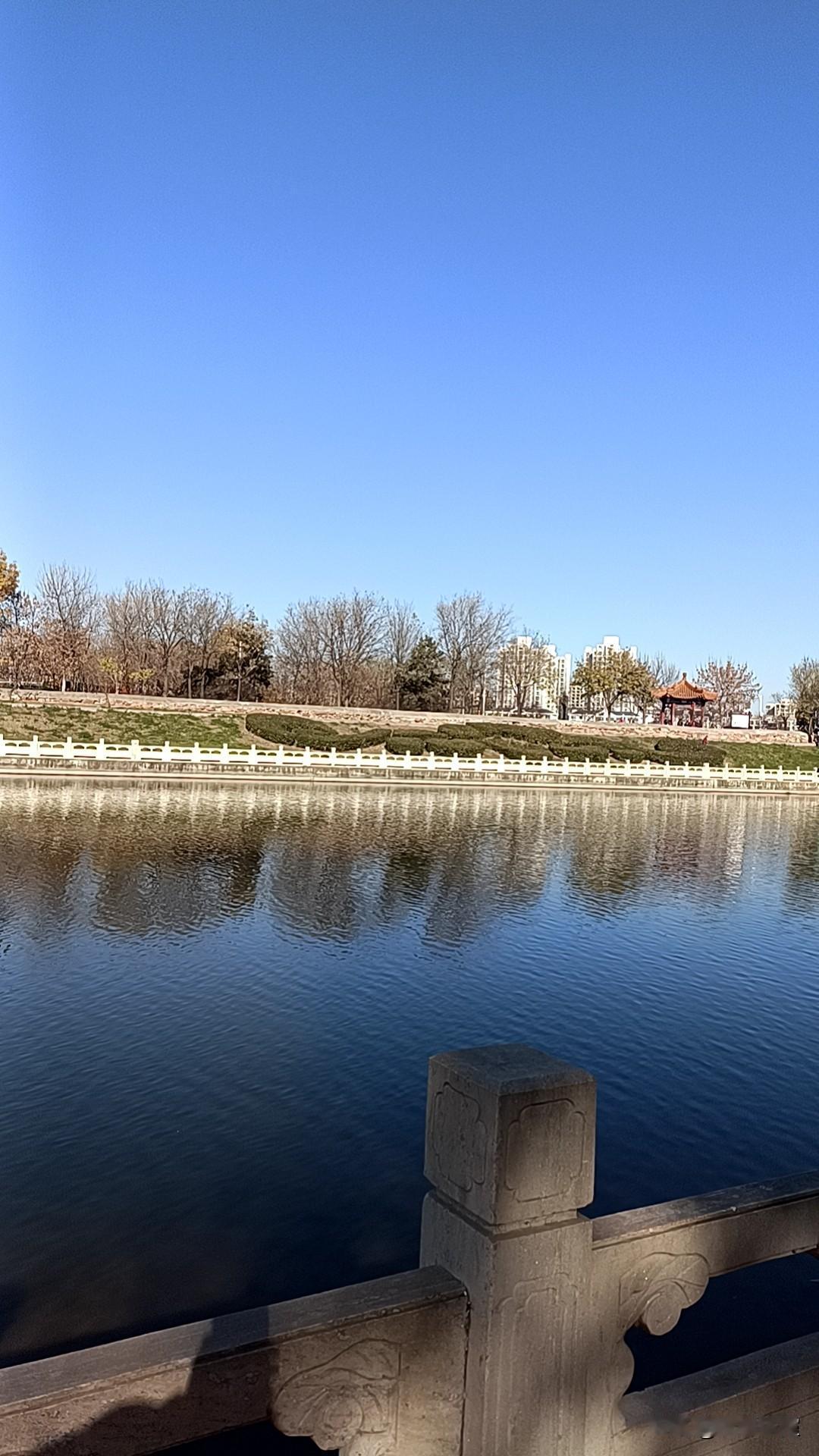 今天天气不错，阳光暖暖，天空蓝蓝。上午收拾完小院 ，去河边遛弯晒太阳，随手拍几张