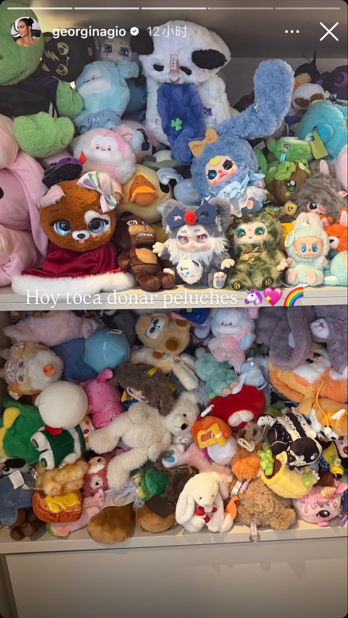 罗家这么多公仔只认识一个拉布布