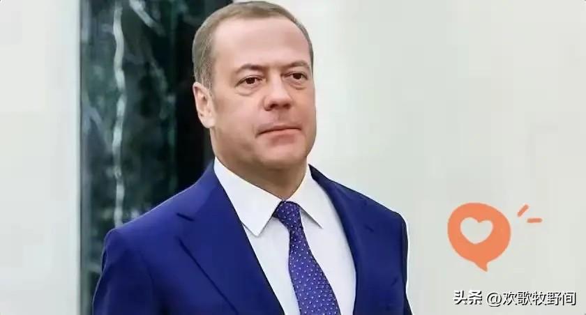 俄罗斯就美以对伊行动发声！
就在今天，2月28日，俄罗斯安全理事会副主席梅德韦杰