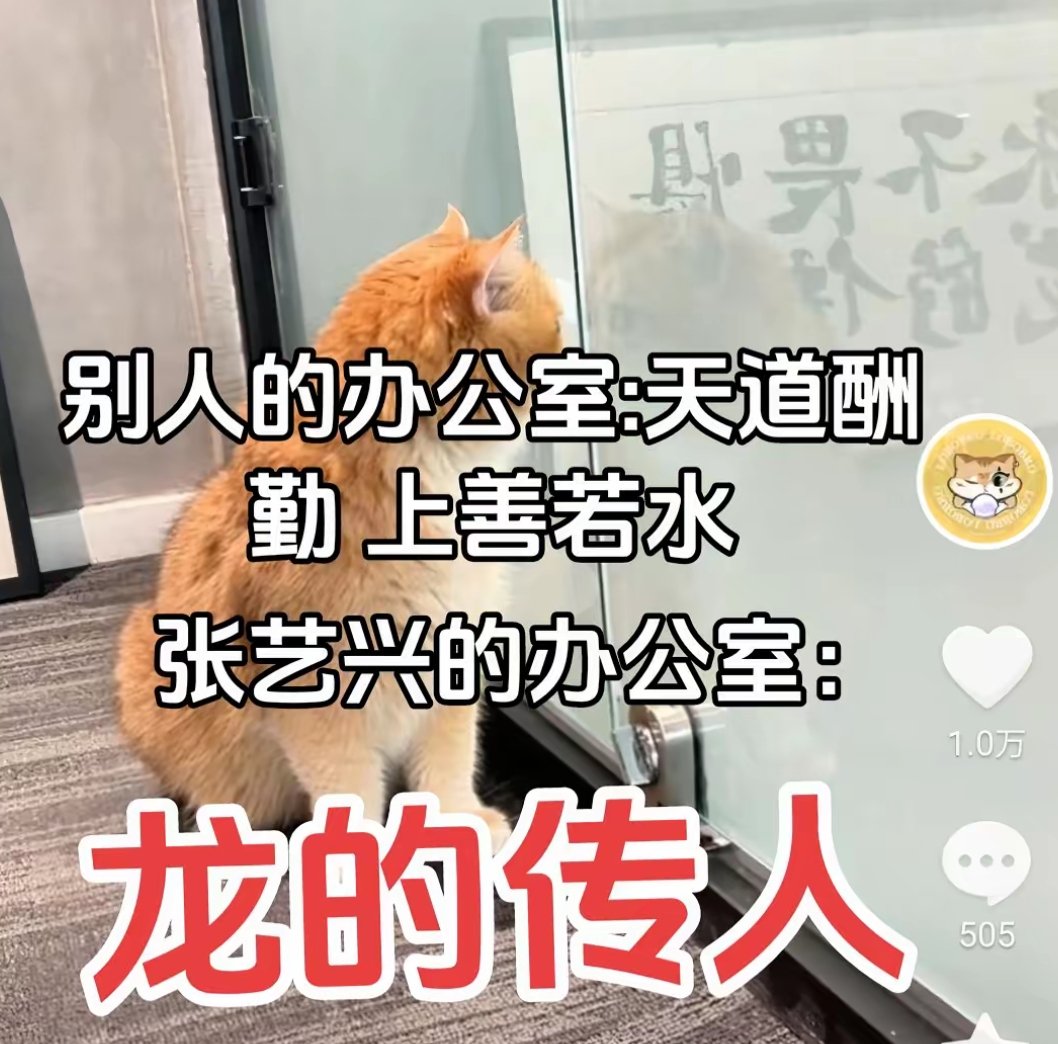 龙的传人。 ​​​