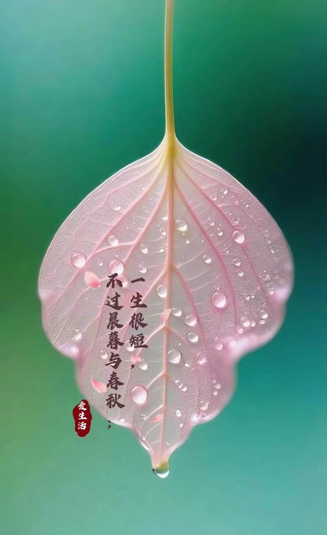 晨起闲思
 
往日清晨，早已习惯每日清晨六点准时起身，长年日复一日，规律已然成为
