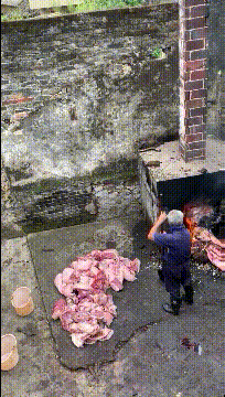 啥肉啊这么禁烧