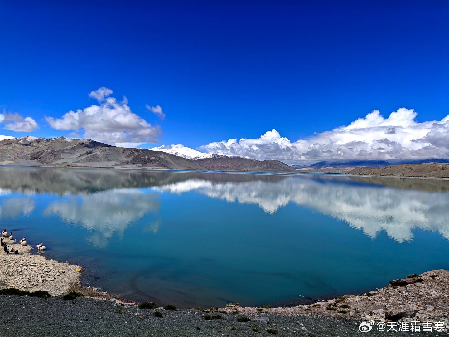 白沙湖 