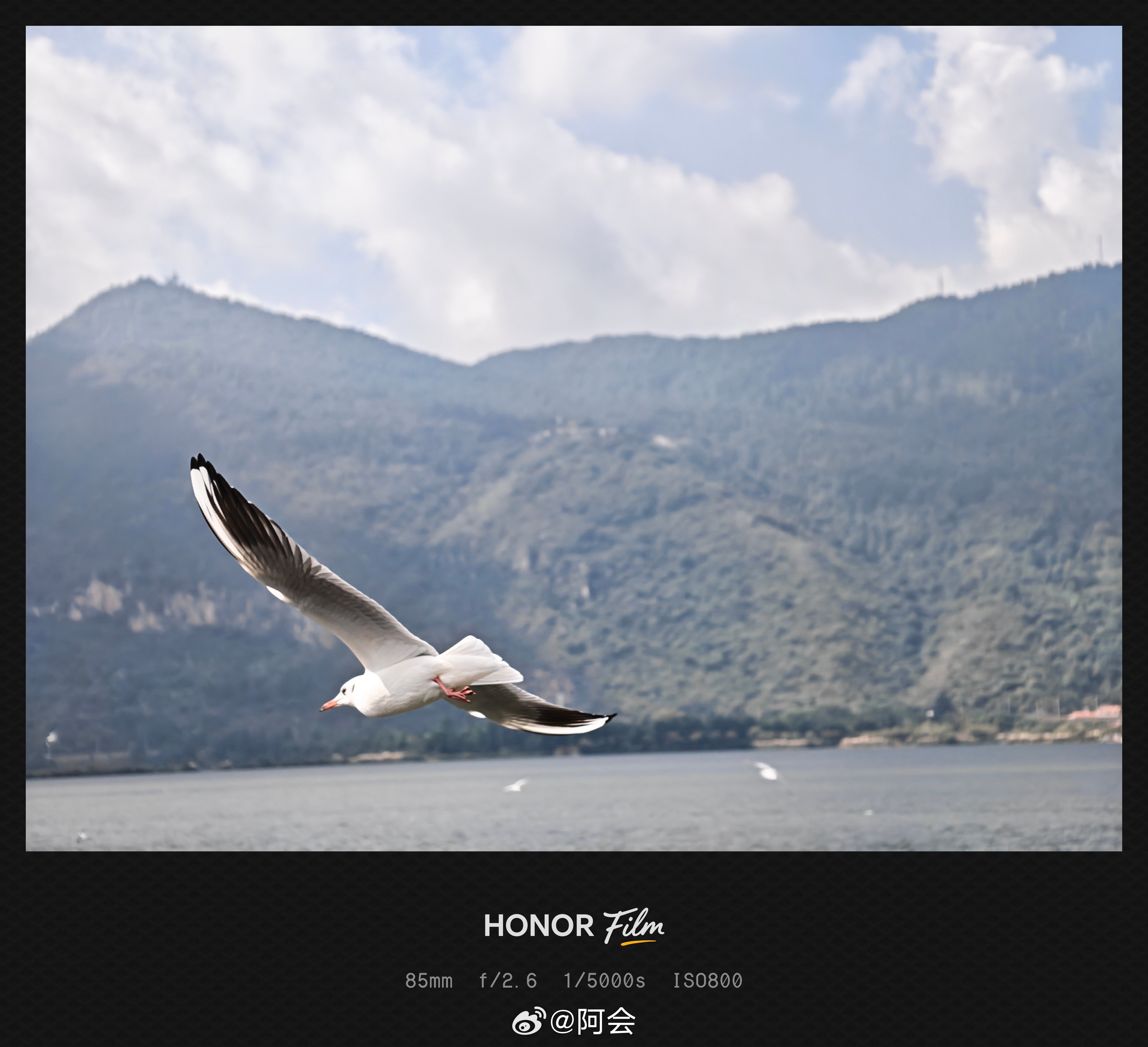 如果荣耀今年更新影像套装，大家觉得会怎么样？注意我说的是更新不是发布，其实荣耀是