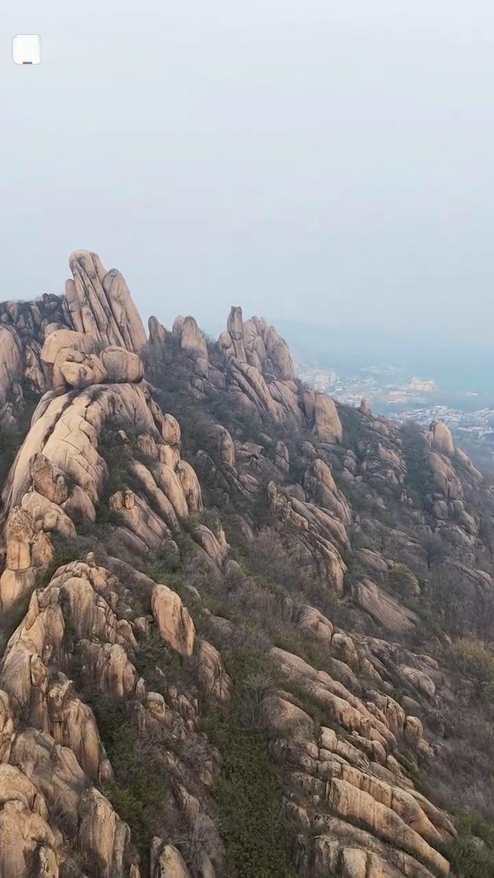 岁数良好。