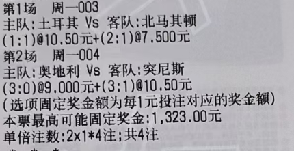 🗯阿磊每日分享No.1003 国际赛 土耳其vs北马其顿➡️💯：让负 1.1