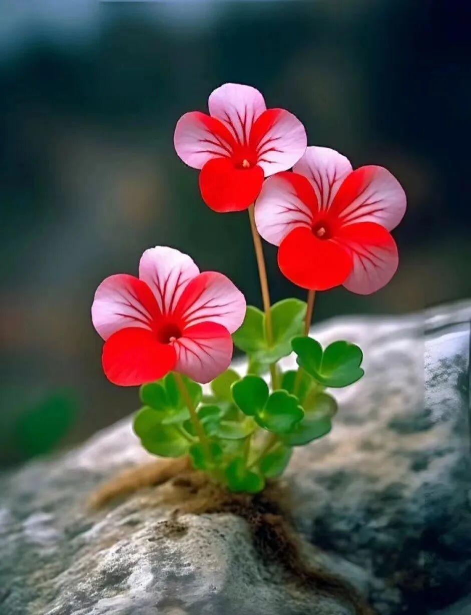 一个很久不联系的同学给我打来了电话，问我有没有贷款公司的联系方式。就在我低头给他