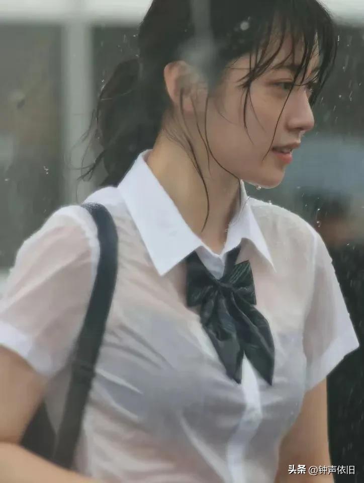 雨中的蝴蝶格外美丽！