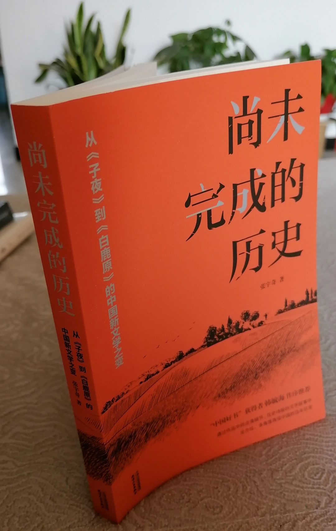 从“子夜”到“白鹿原”的中国新文学之路