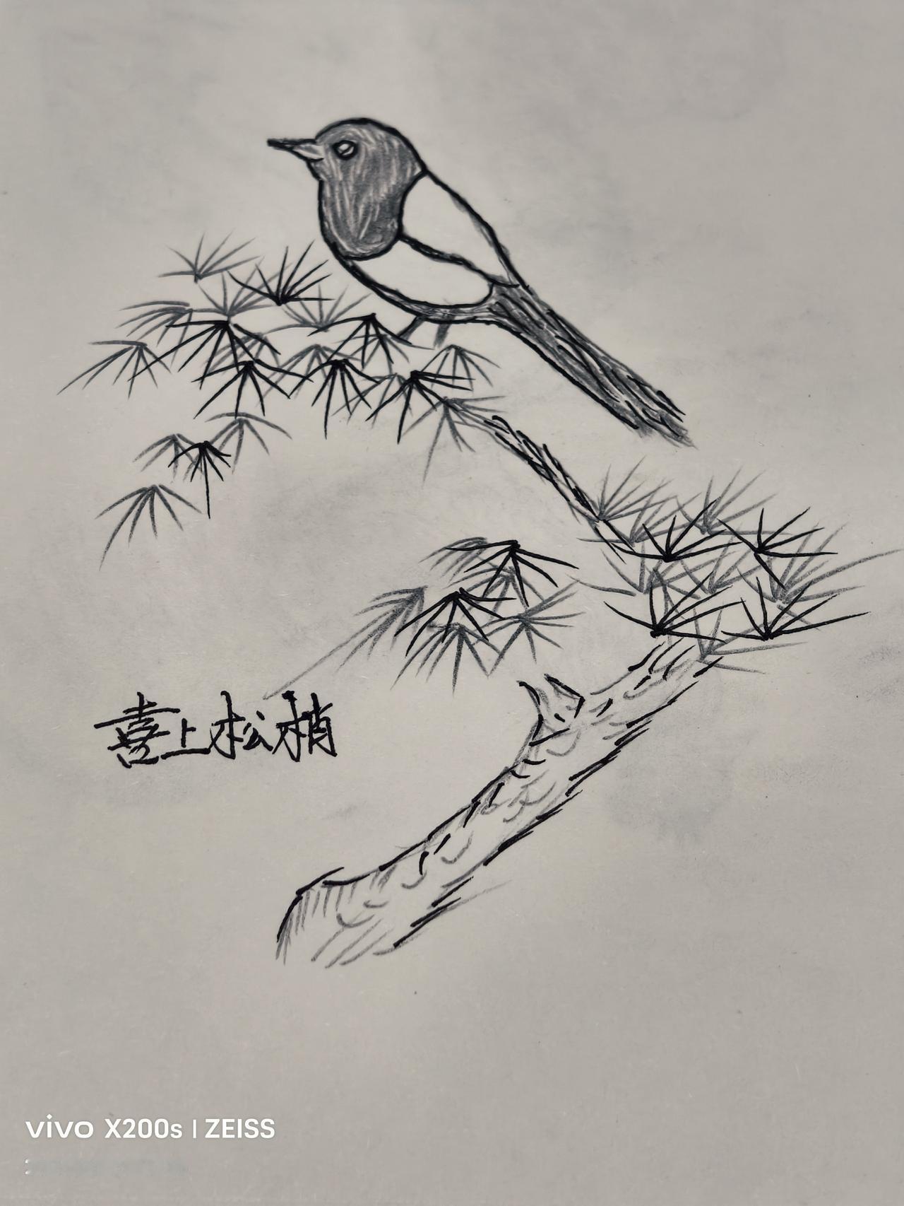 记录我的2026喜上松梢：午休之后闲着没事在家做手工，用笔画了一张画——喜上松梢