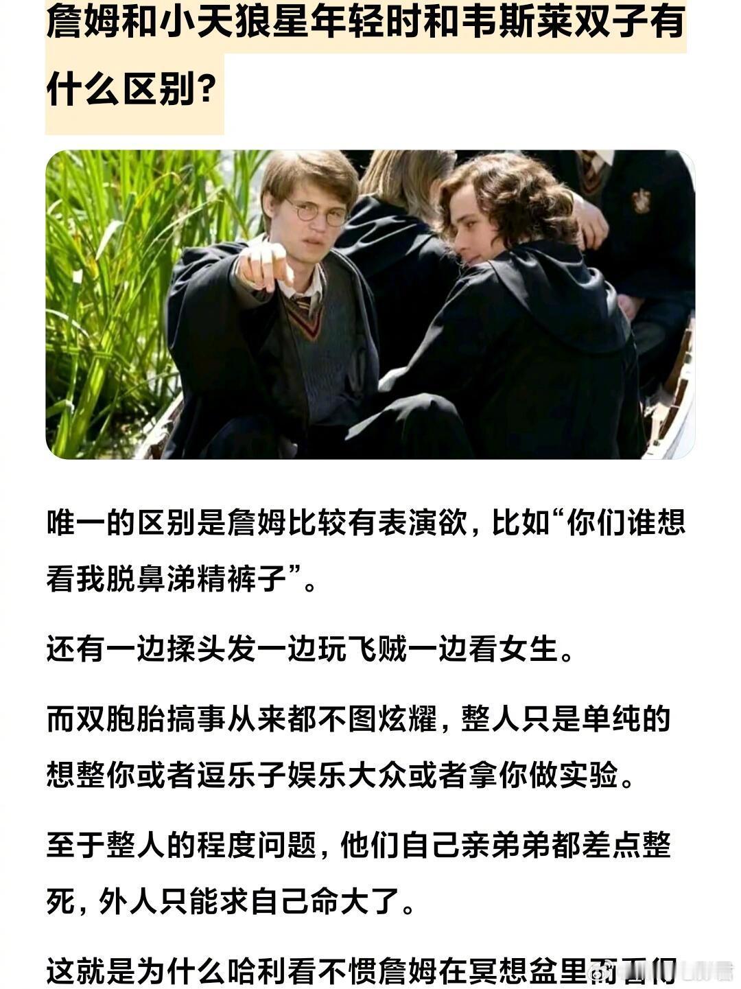 詹斯和小狼星年轻时和韦斯莱双子有什么区别 