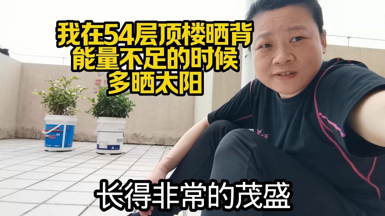 我在54层顶楼晒背，能量不足就多晒太阳。去年工厂全年不见日，累垮身体；今年休息，