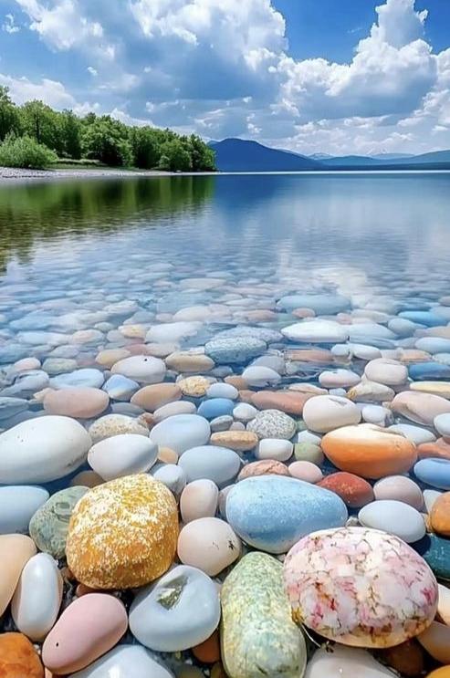 不能把大地都铺上地毯
我可以选择穿上鞋子
 
谁都没法让大地都铺上地毯，
就像我