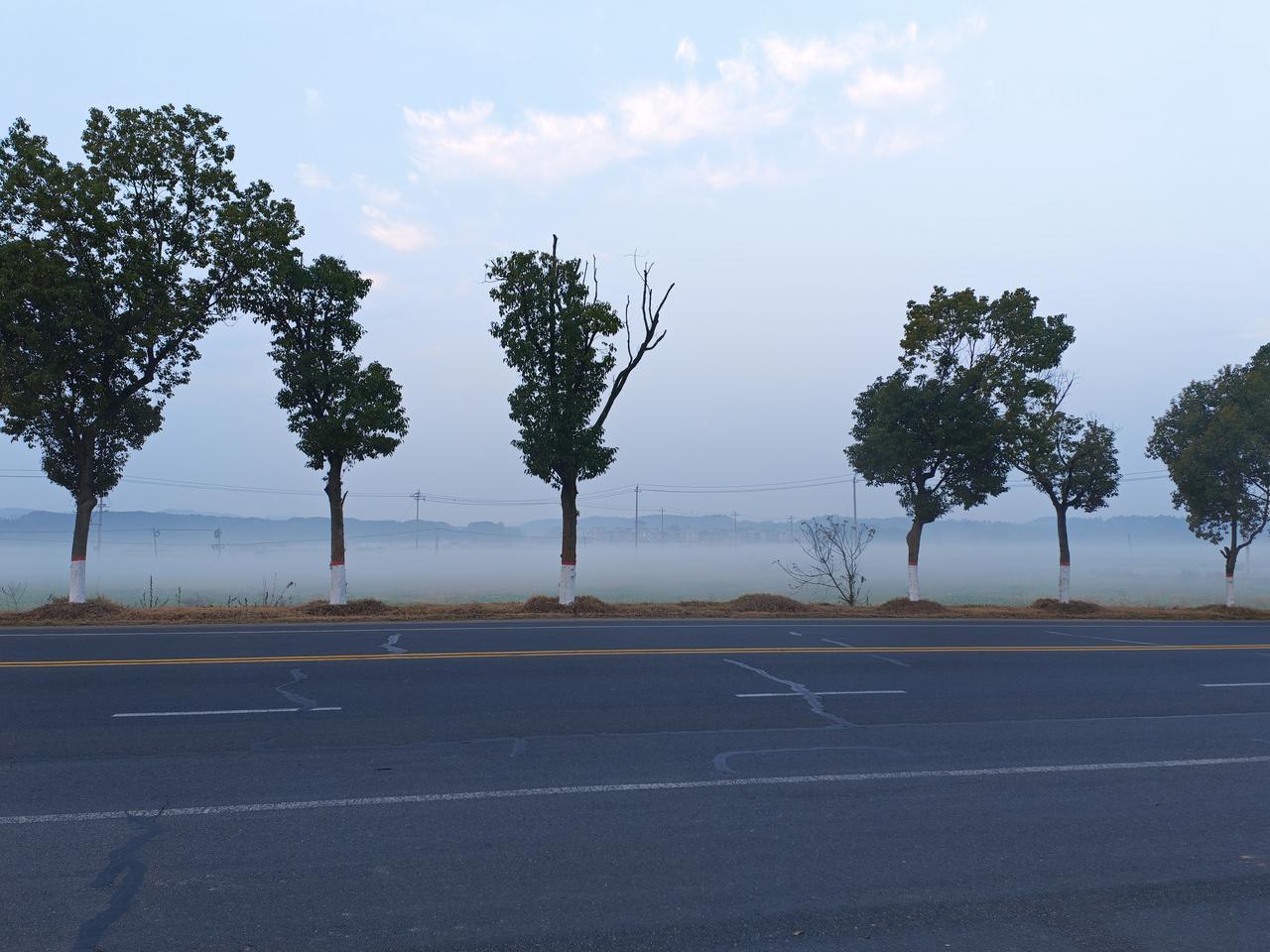 今年冬天的不同