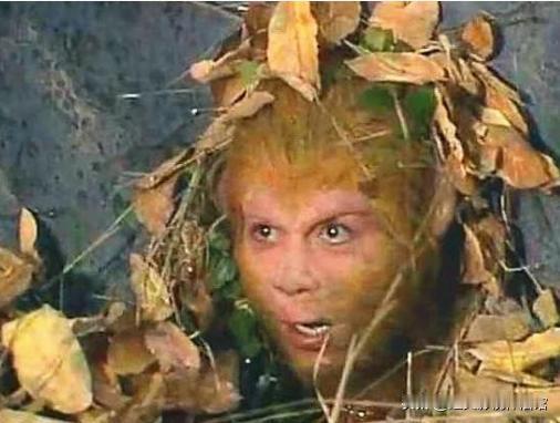 猴哥虽然被压在五行山下五百年，但他一直都很阳光很开朗，会把玩野花小草，会和小孩子