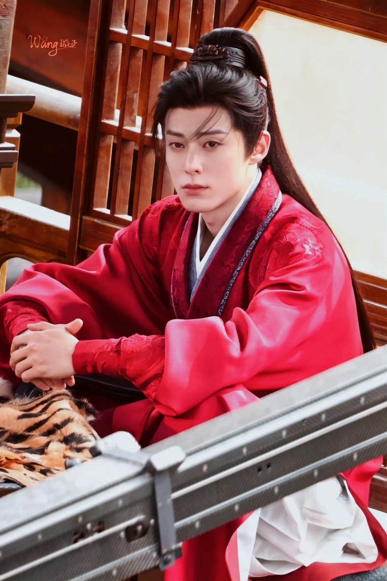 王鹤棣谢景行红衣少年郎红衣猎猎，眉眼桀骜，王鹤棣把谢景行的风流贵气与少年锋芒演得