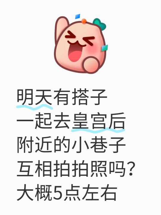 明天有搭子一起去皇宫后附近的小巷子互相拍拍照吗？大概5点左右