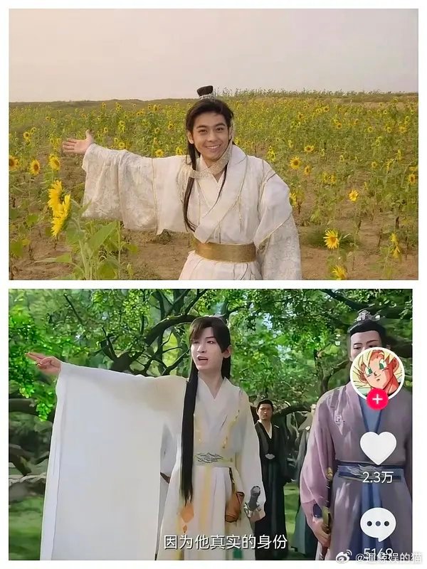 追鲸鱼的猫穿古装明明得有点肌肉才撑得起来，咋现在一水儿都觉得非得瘦成纸片人才叫仙