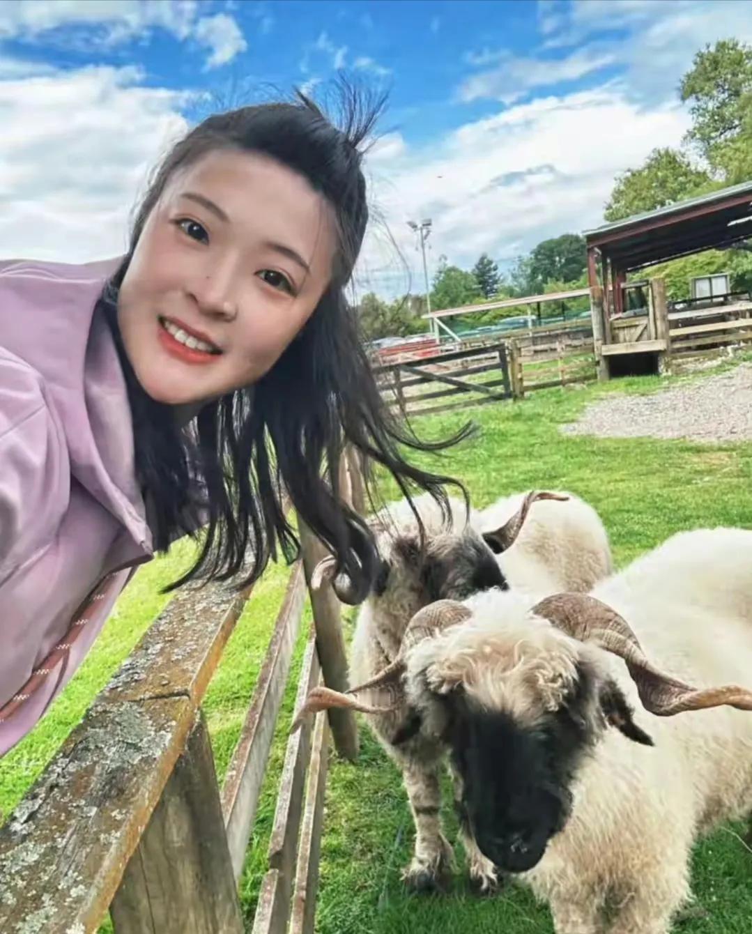 这张惠若琪在郊外牧场拍的照片。照片中有绿绿的草坪，和可爱又胖嘟嘟的小羊。这一切看