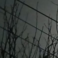 以善良为师，得到的是正义和正直的教诲，即使步履平凡，也不失不俗的境界。善良使人的